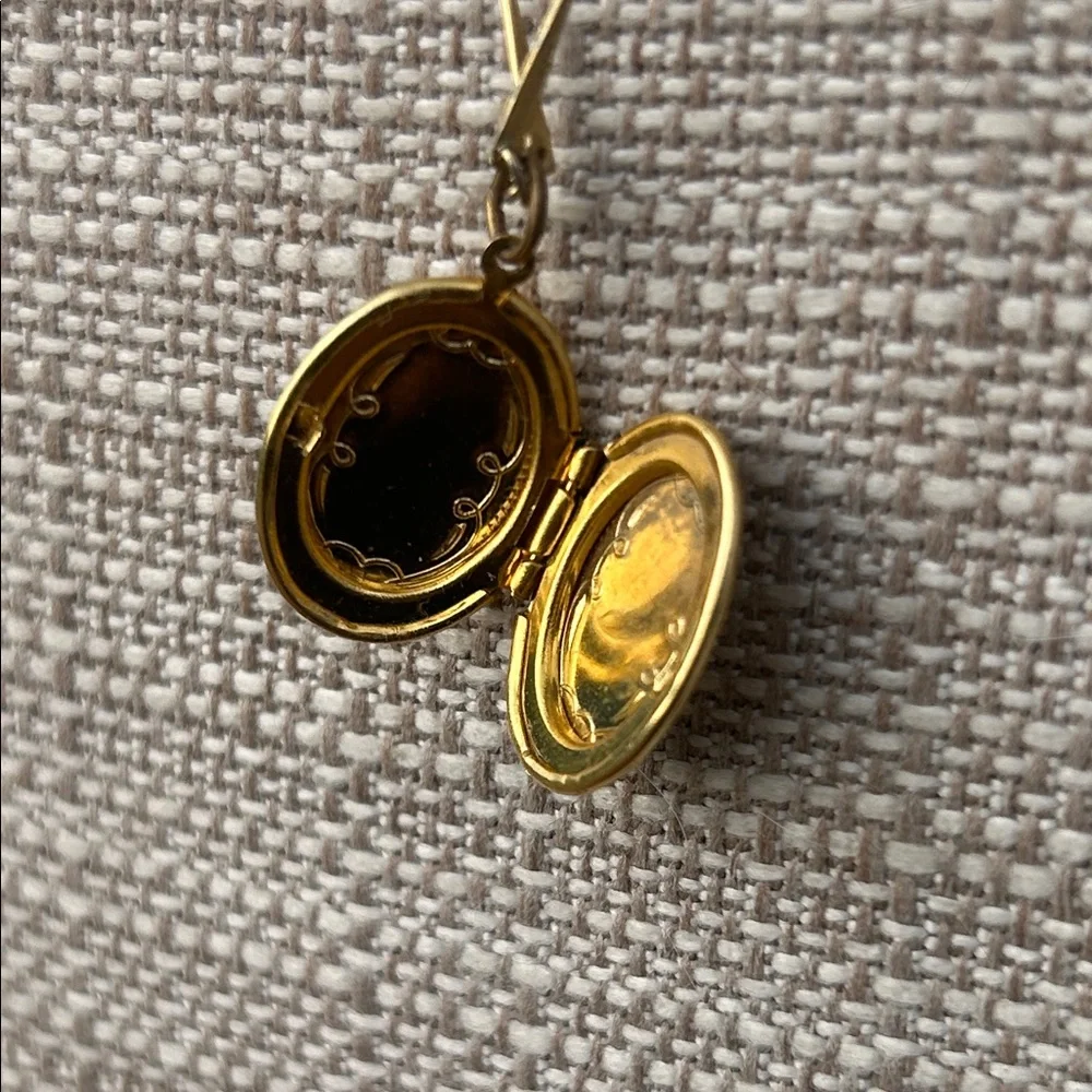 Vintage Gold Floral Portrait Locket Necklace with Pink Rose - Picture 6 of 9